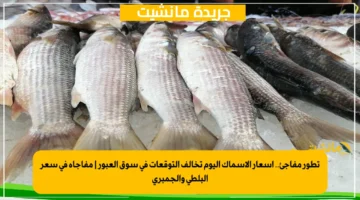 تطور مفاجئ.. أسعار الأسماك اليوم تخالف التوقعات في سوق العبور مفاجأة في سعر البلطي والجمبري 1